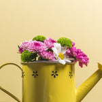 Yellow watering can